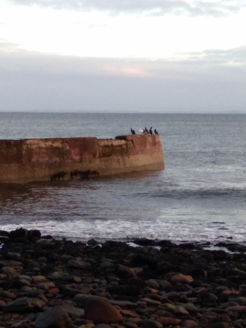 IMG_20180106_152052 (480x640)