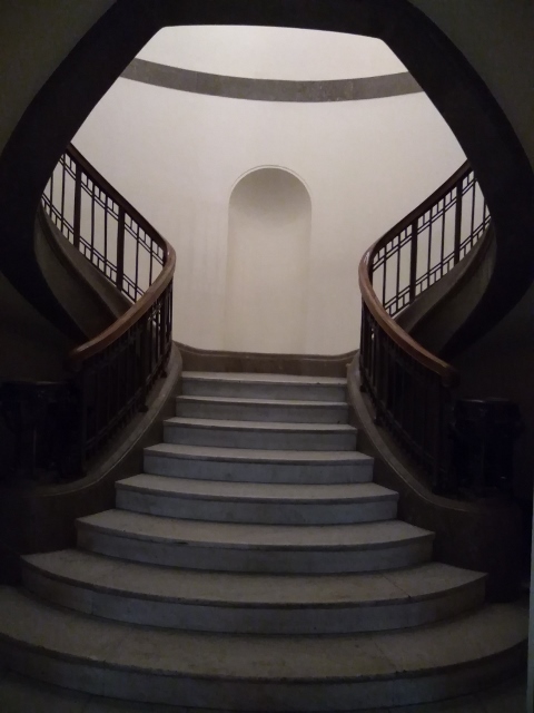 IMG_20180115_164754 (480x640)