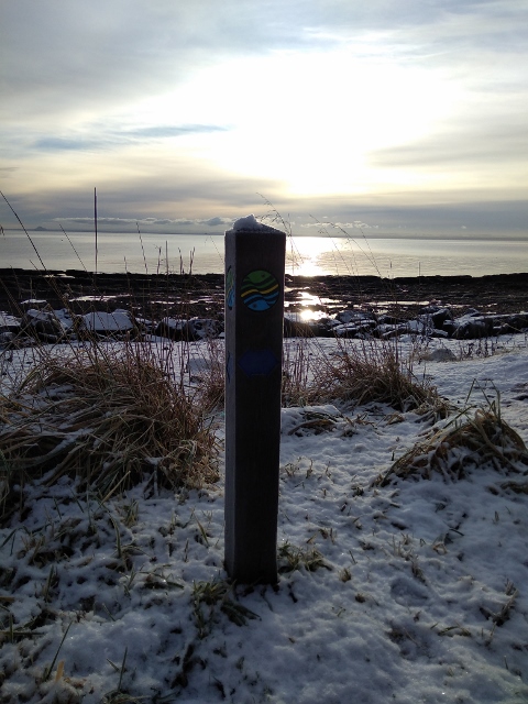 IMG_20180120_100601 (480x640)