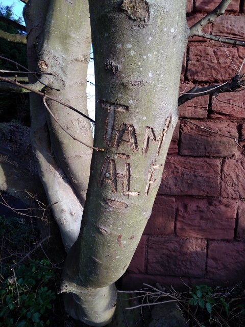 IMG_20180120_101102 (480x640)