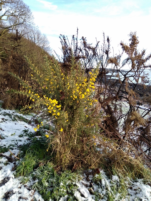 IMG_20180120_101703 (480x640)