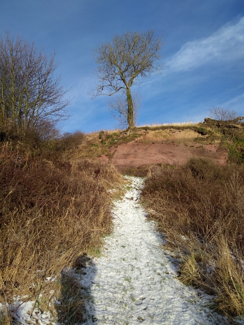 IMG_20180120_102156 (480x640)