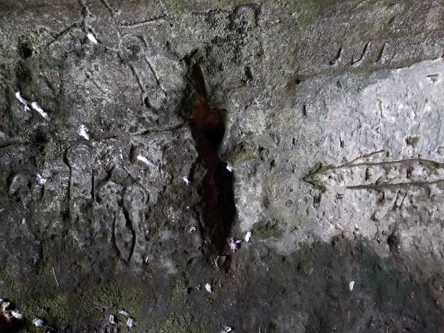 IMG_20180120_102529 (640x480)