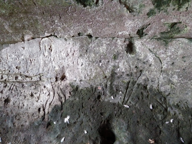 IMG_20180120_102541 (640x480) (640x480)