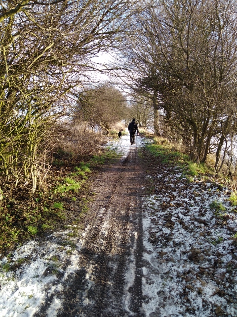 IMG_20180120_103658 (480x640)