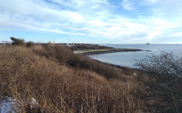 IMG_20180120_104456 (640x397)