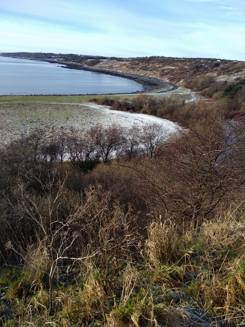 IMG_20180120_110641 (480x640)