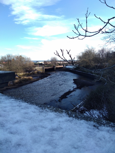 IMG_20180120_123422 (480x640)