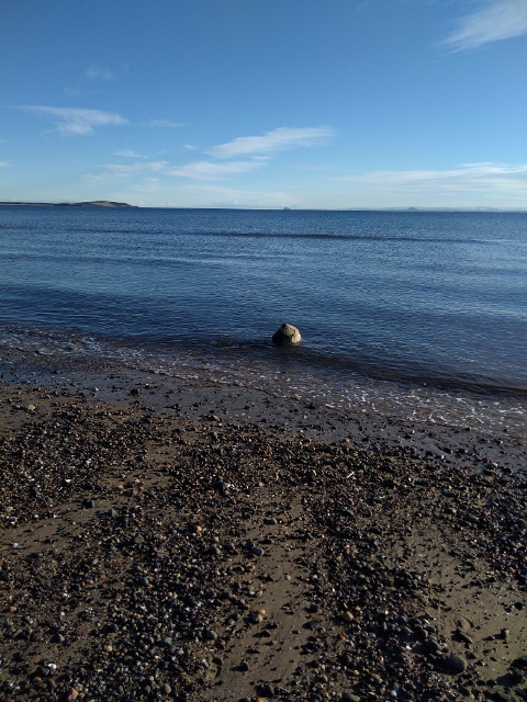 IMG_20180120_133046 (480x640)