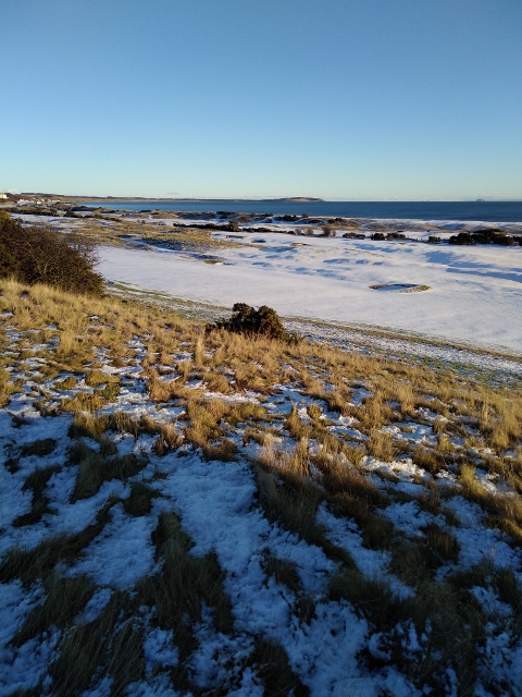 IMG_20180120_150721 (480x640)