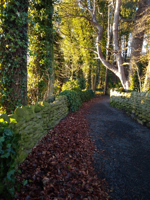 IMG_20180120_152555 (480x640)