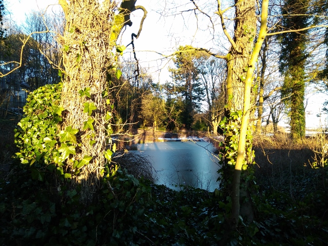 IMG_20180120_152623 (640x480)