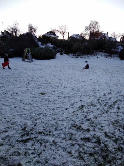 IMG_20180120_154801 (480x640)