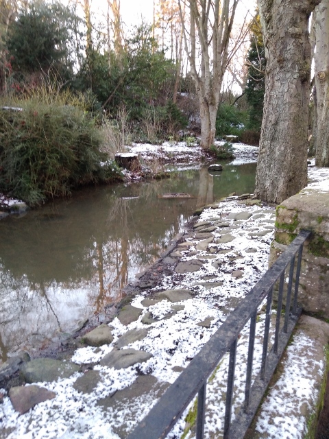 IMG_20180120_155002 (480x640)