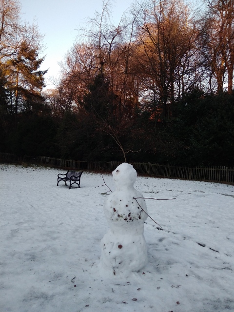 IMG_20180120_155310 (480x640)