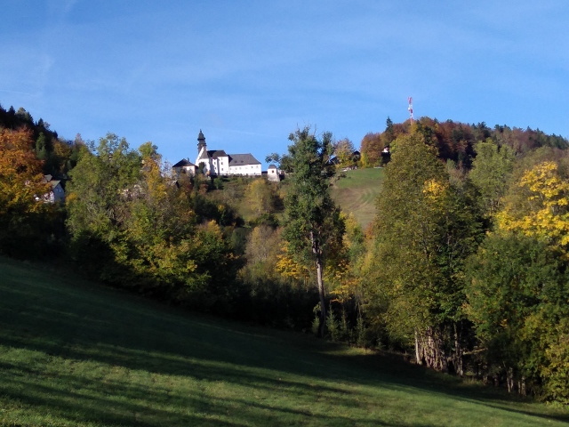 IMG_20171011_094558 (640x480)