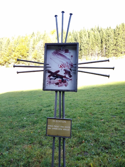 IMG_20171011_102917 (480x640)