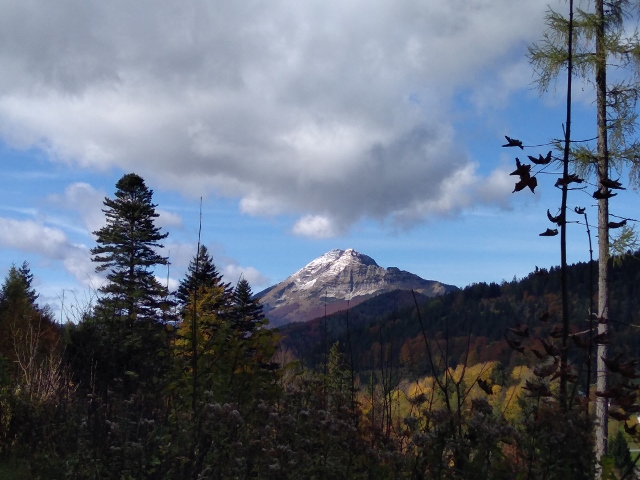 IMG_20171011_112402 (640x480)