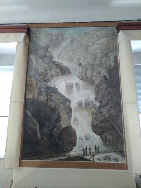 IMG_20171011_133000 (480x640)