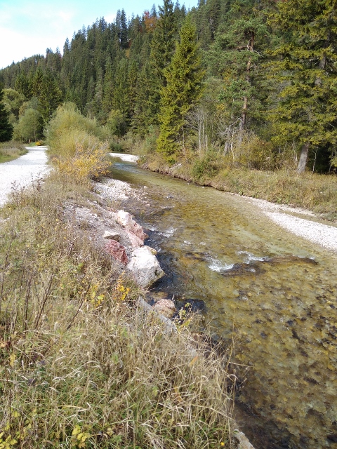 IMG_20171012_112323 (480x640)