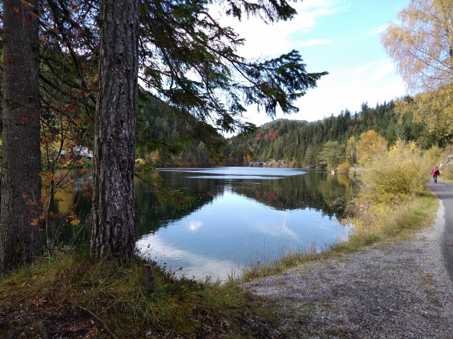 IMG_20171012_114400 (640x480)