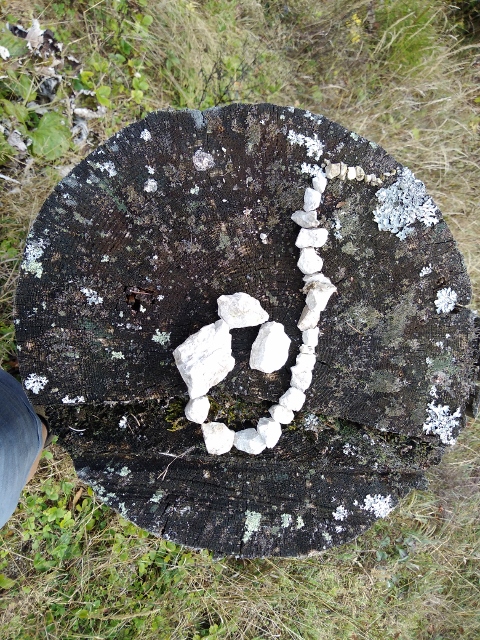 IMG_20171012_141400 (480x640)