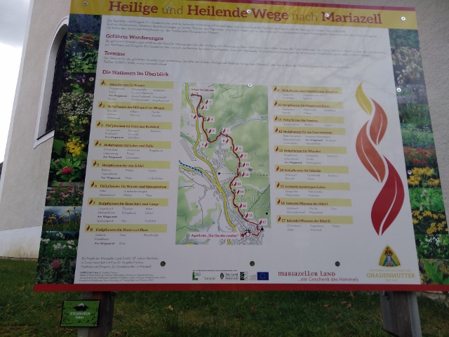 IMG_20171013_115624 (640x480)