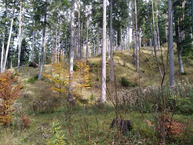 IMG_20171013_124001 (640x480)