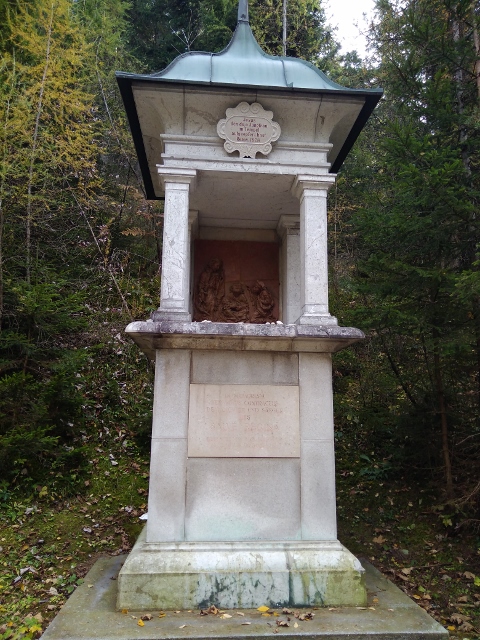 IMG_20171013_130017 (480x640)