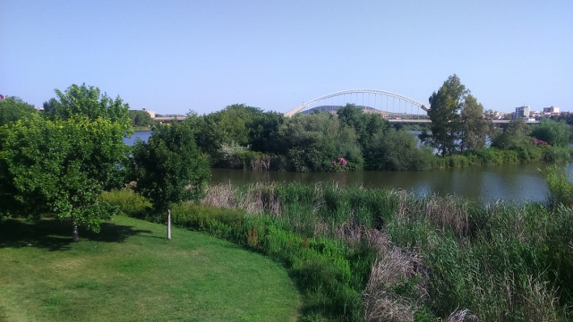 DSC_0031 (640x360)