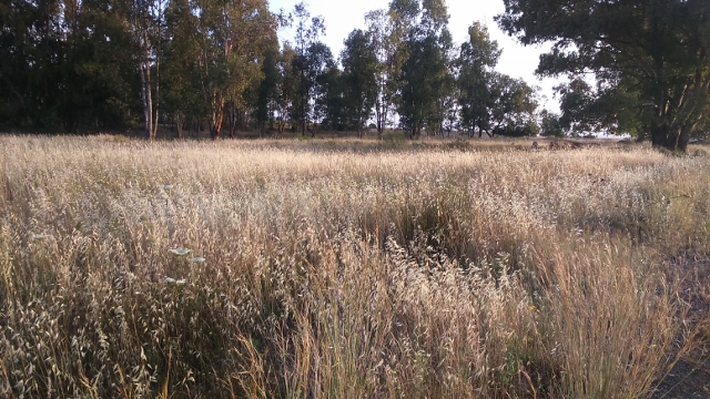 DSC_0045_4 (640x360)