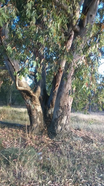 DSC_0046_4 (640x360)