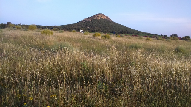 DSC_0051_4 (640x360)