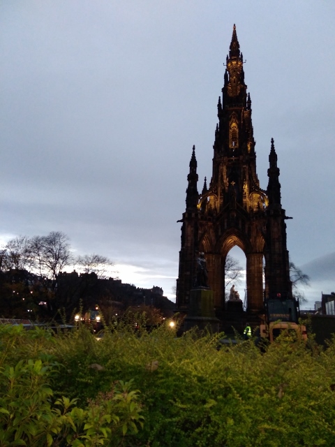 IMG_20171113_162953 (480x640)