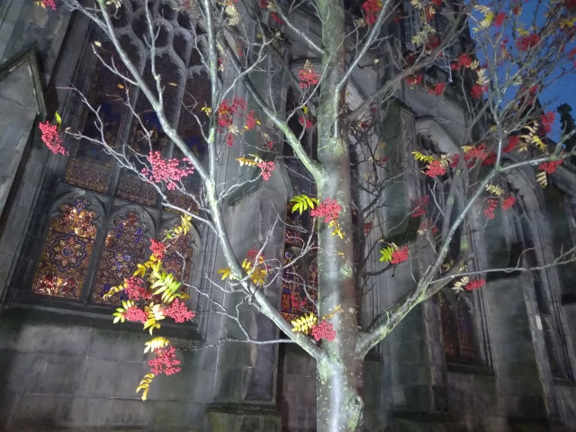 IMG_20171113_164314 (640x480)