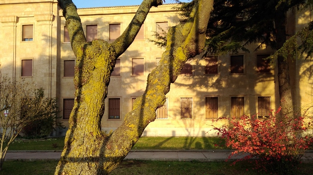 IMG_20180405_082816 (640x359)