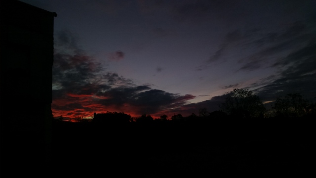 DSC_0010_7 (640x360)