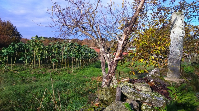 DSC_0033_4 (640x360)