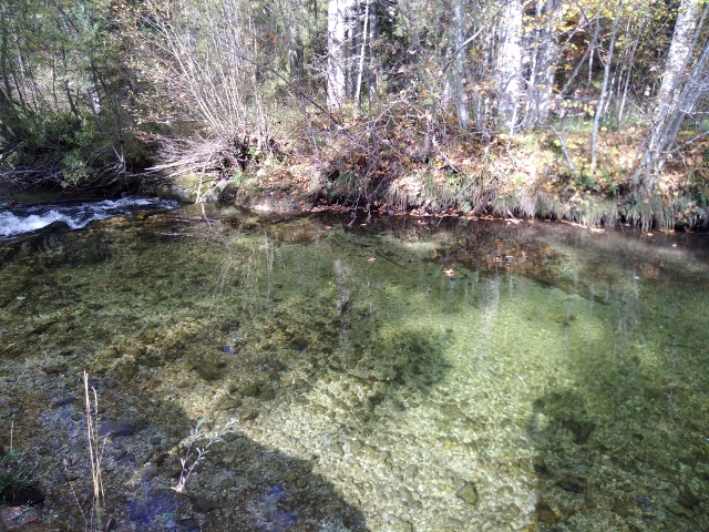 IMG_20171012_112820 (640x480)