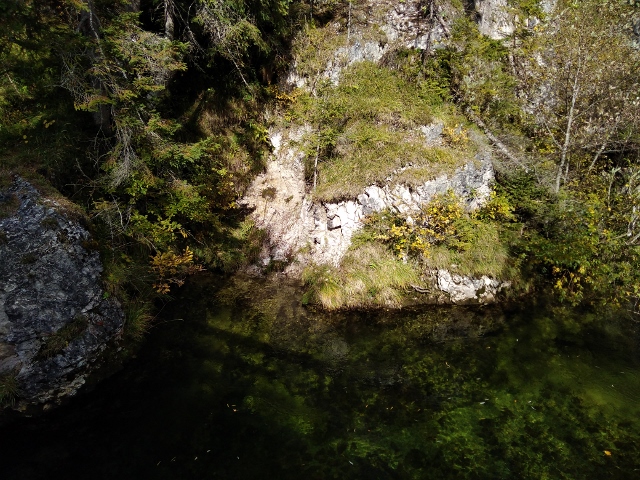 IMG_20171012_113004 (640x480)