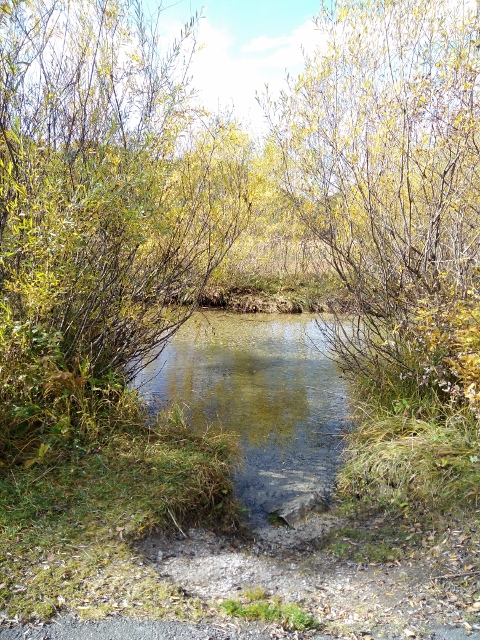 IMG_20171012_113221 (480x640)