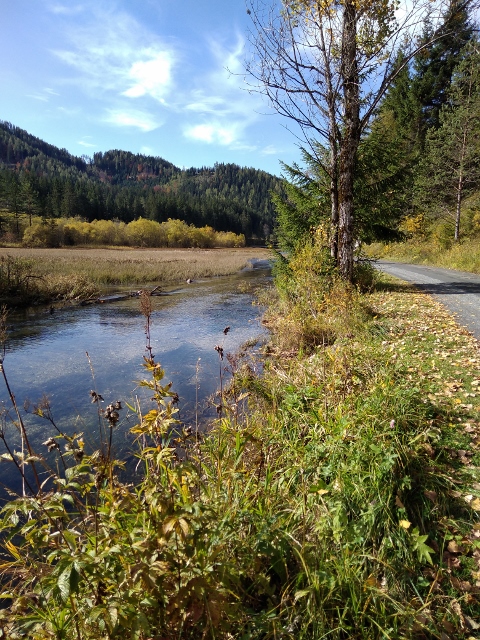 IMG_20171012_113318 (480x640)