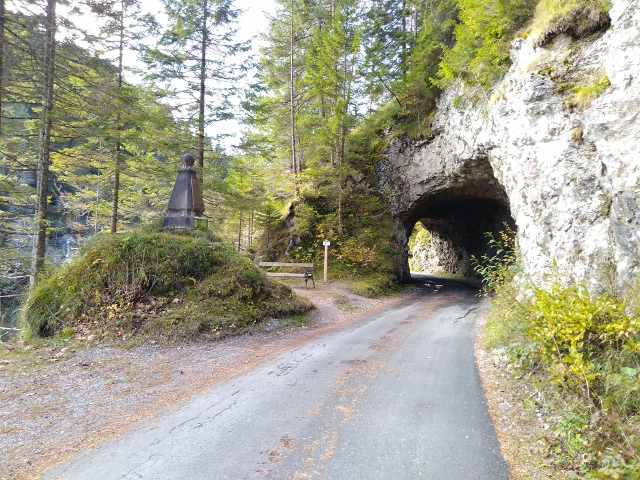 IMG_20171012_115157 (640x480)