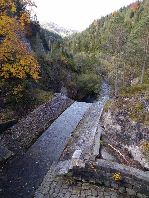 IMG_20171012_115323 (480x640)