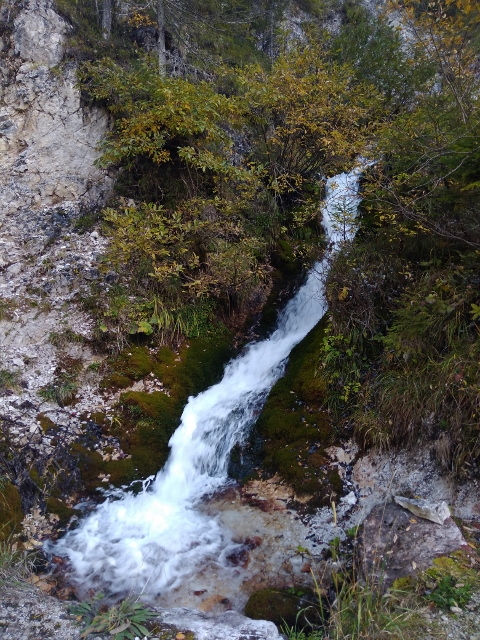 IMG_20171012_131401 (480x640)