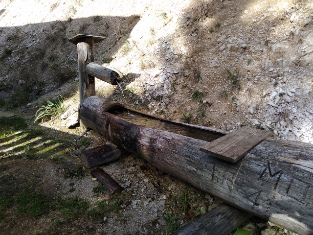 IMG_20171012_133120 (640x480)