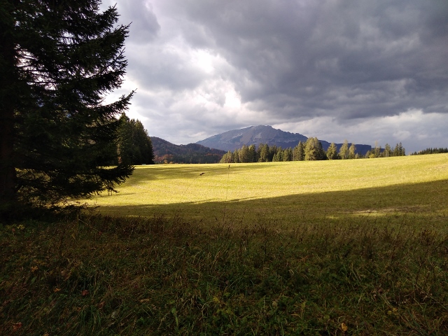 IMG_20171012_152655 (640x480)