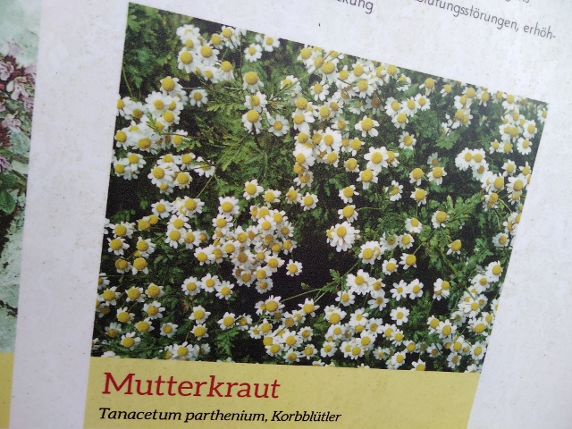 IMG_20171013_120718 (640x480)