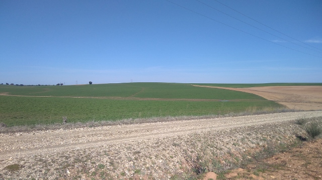 IMG_20180406_104823 (640x359)