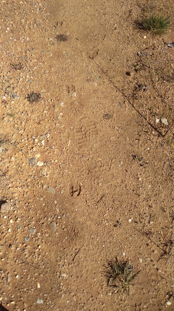 IMG_20180406_111723 (359x640)